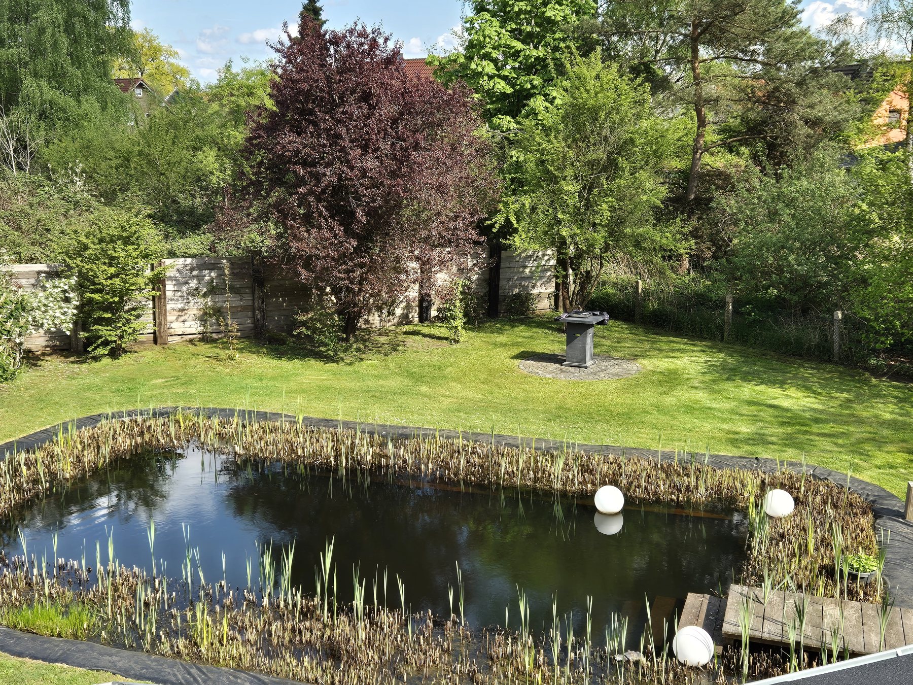 Schwimmteich und Garten